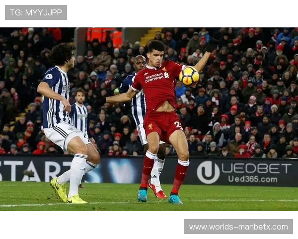 ued体育平台全面解析:如何选择最适合你的体育娱乐平台